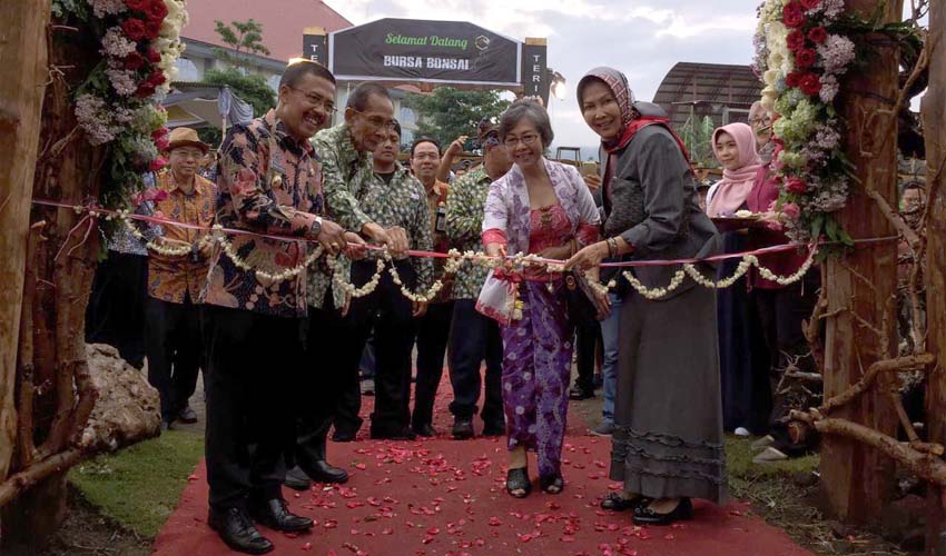 Penggemar Tanaman Hias Meningkat, Kota Batu Agendakan Gelar Pameran Lebih Besar di Tahun Depan