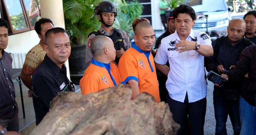 Penadah Kayu Curian Diciduk Polres Batu