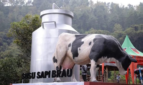 Dusun Brau Kota Batu, Wilayah Terpencil Sentra Penghasil Susu yang Dijadikan Wisata Edukasi