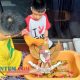 Unik, Seorang Warga di Kota Batu Peringati Hari Lahir Pancasila dengan 'Mandikan' Patung Burung Garuda