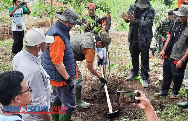 Dukung Program Green Campus, UIN Maulana Malik Ibrahim Sebar Seribu Bibit Tanam Produktif