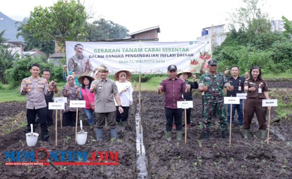 Upaya Pengendalian Inflasi, Pemkot Batu Distribusikan 5 Ribu Bibit Cabai di Lima Kelurahan