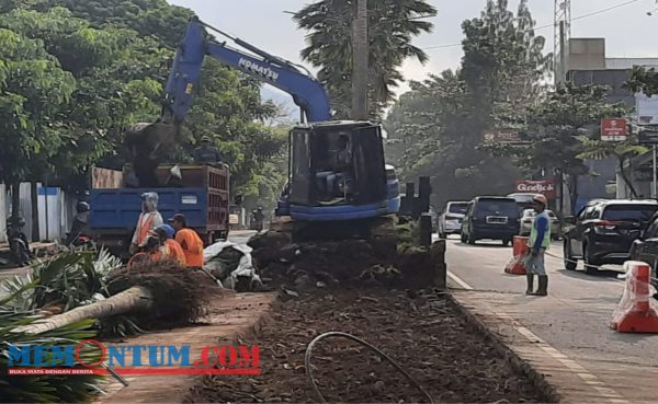 DLH Kota Batu Anggarkan Rp 190 Juta untuk Pengeprasan Taman Median Jalan Dewi Sartika